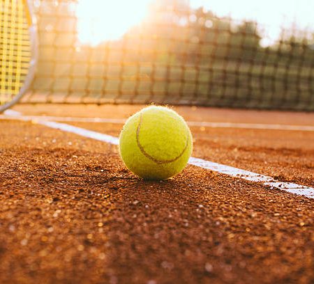 Comment détecter si un terrain est incompatible avec une construction court de tennis à Paris ?
