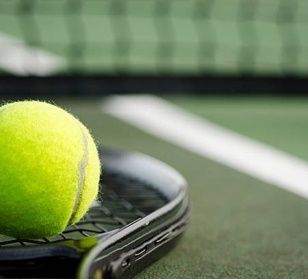 Quelles entreprises locales sont spécialisées en rénovation de courts de tennis à Mougins ?